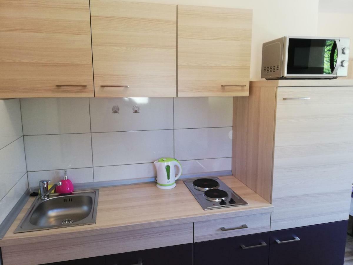 Studio Apartment Palmira Ližnjan Eksteriør billede